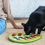 Authentic USA imported Catstages intermediate cat enrichment game
