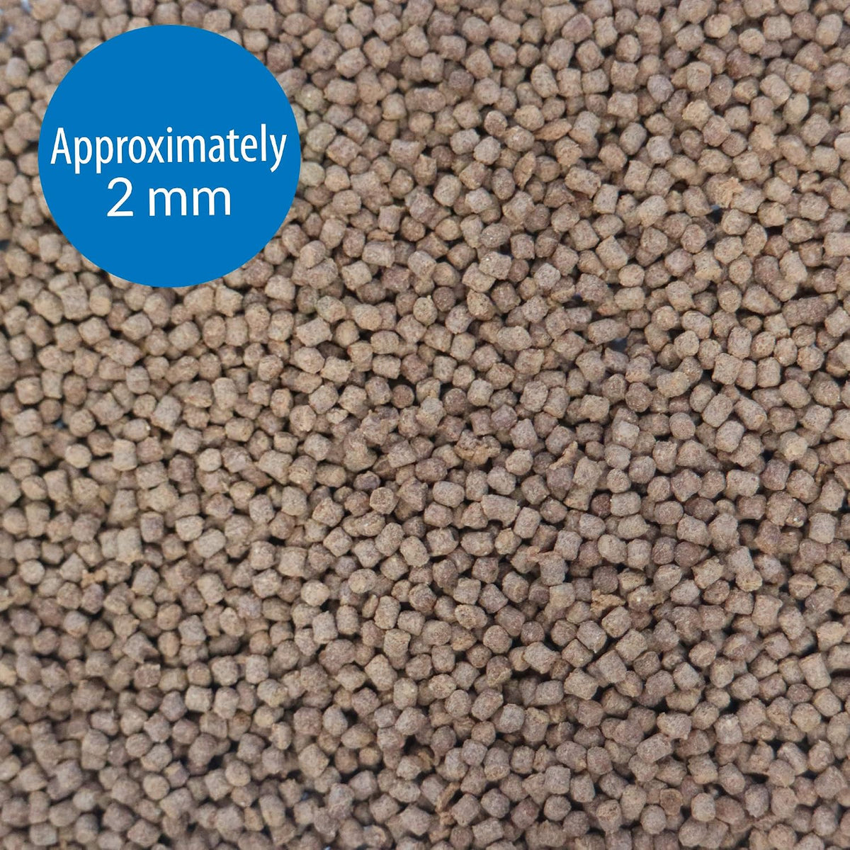 API Betta Food nutritional ingredients and feeding guide details