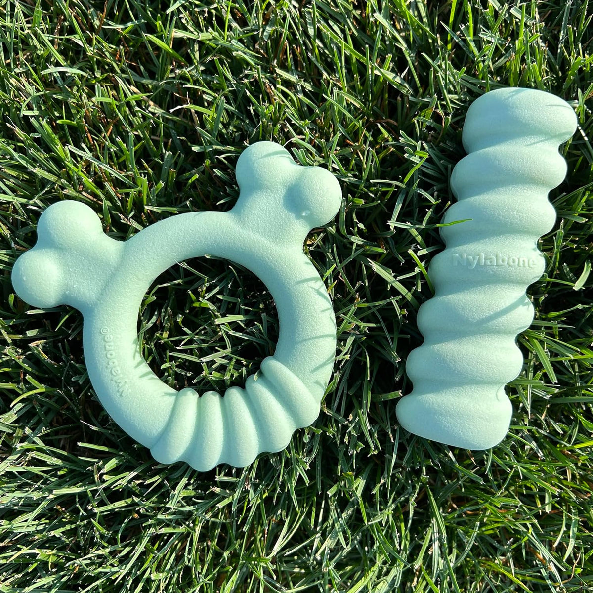 Nylabone Puppy Chew Sensory Material Soothing Ring Dog Chew Toy, Small | Chicken flavor, soothing teething toys for puppies, teething relief, freeze for extra comfort, up to 25 lbs - Image 10