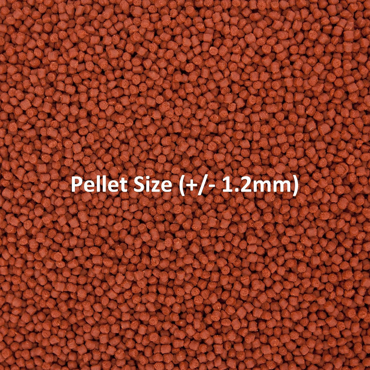 Ocean Nutrition soft sinking marine pellets close up shot