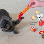 Catstages cat toys crinkle texture close up