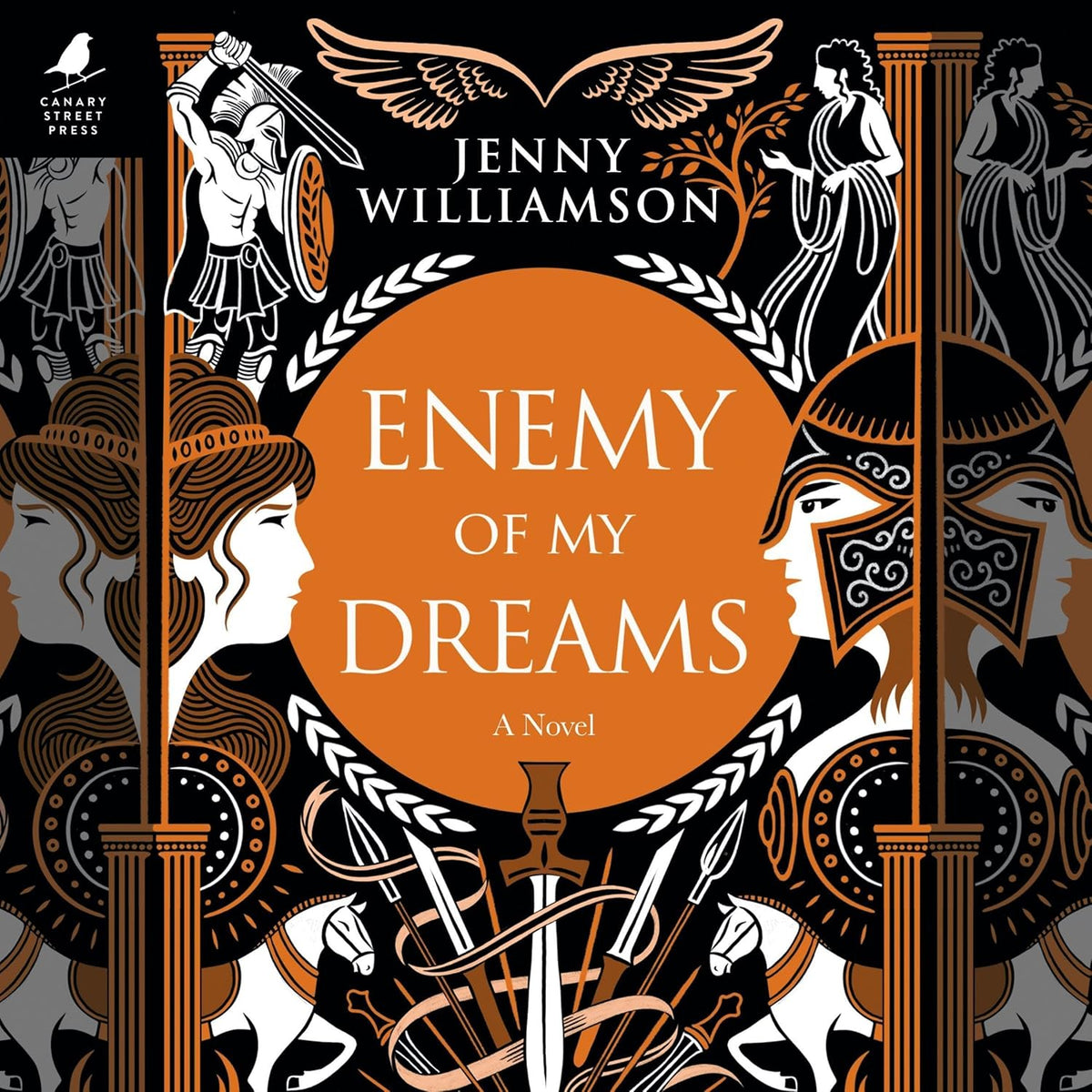 Jenny Williamson Enemy of My Dreams Hardcover book front cover