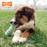 Nylabone small peanut butter flavored teething toy packaging