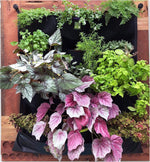Delectable Garden vertical plant growing system close up of pockets