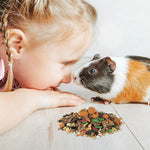 Wholesome grains and real berries blend inside Wild Harvest small pet treat selection.