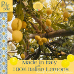Amalfi Coast lemon candy packaging details