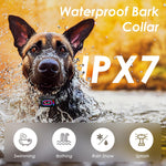 Keoge 2 pack bark collar set for multi dog households