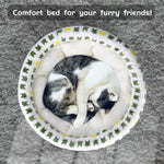 Small dog resting in plush Aiwikide round pet bed