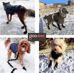 Goo Eez Lites dog boots lifestyle outdoor usage