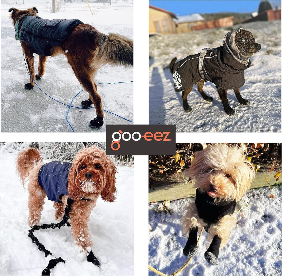 Goo Eez Lites dog boots lifestyle outdoor usage