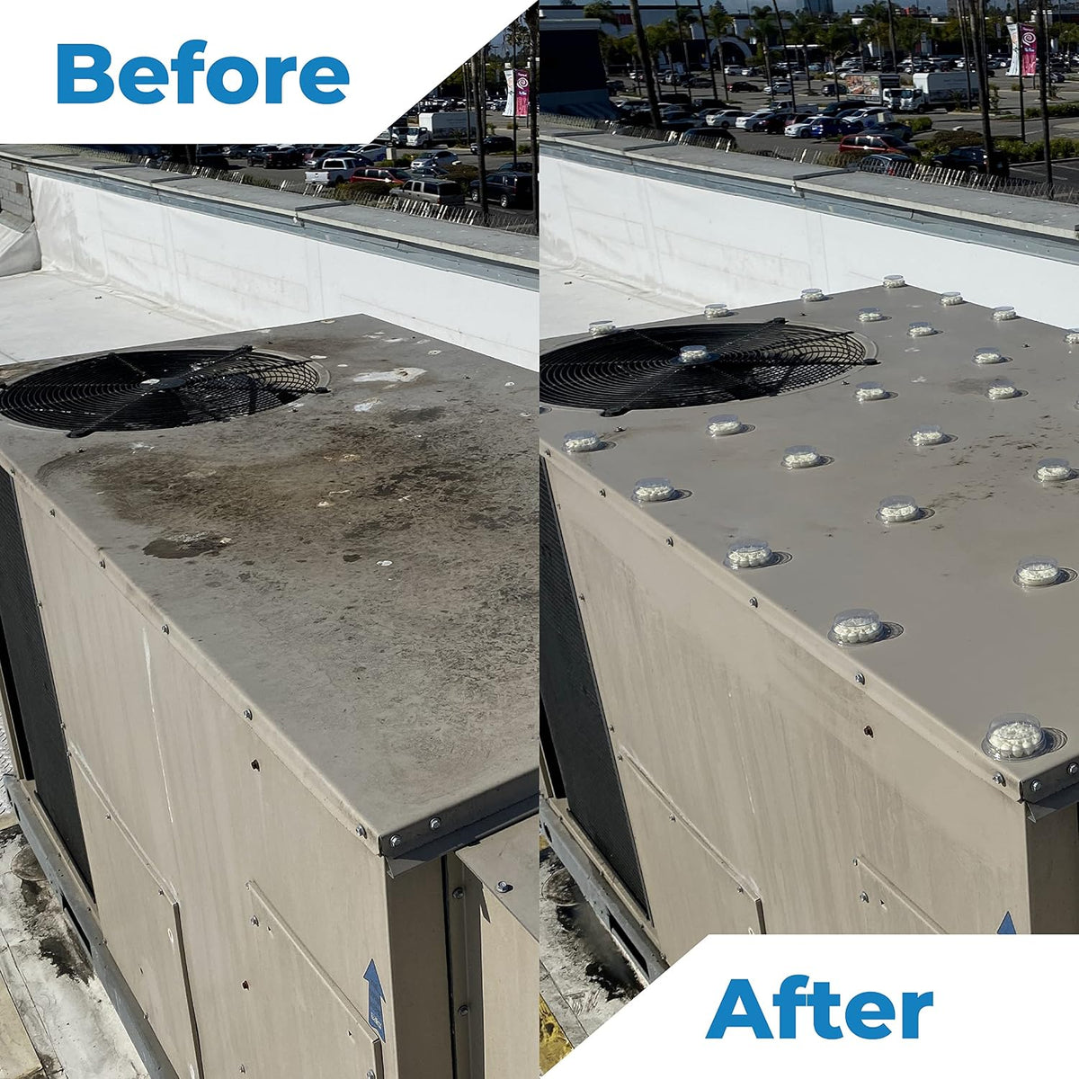 Ammonia free bird poop remover liquid targeting caked organic mess on concrete and tile surfaces