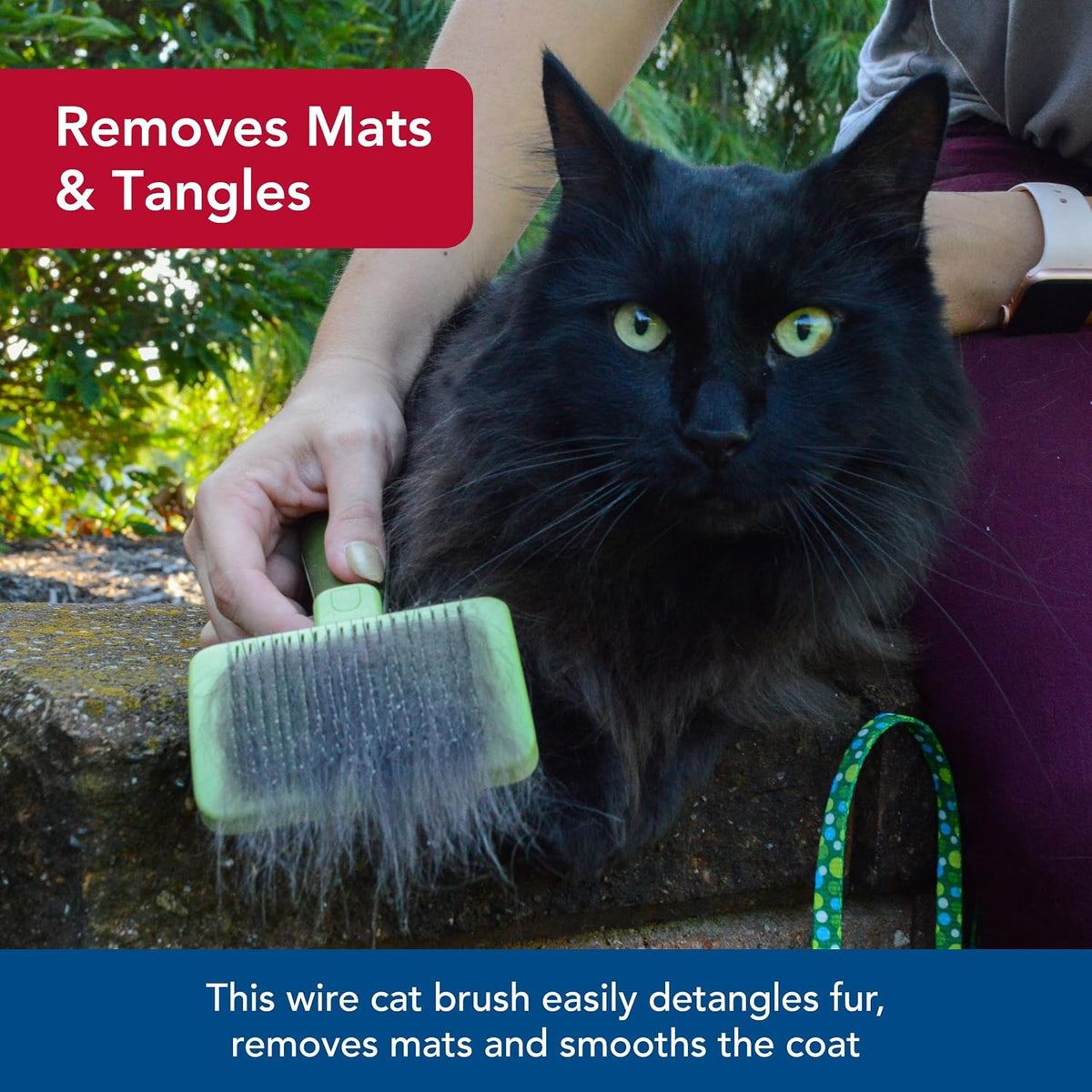 Push button feature on the back of the Safari cat self cleaning brush.