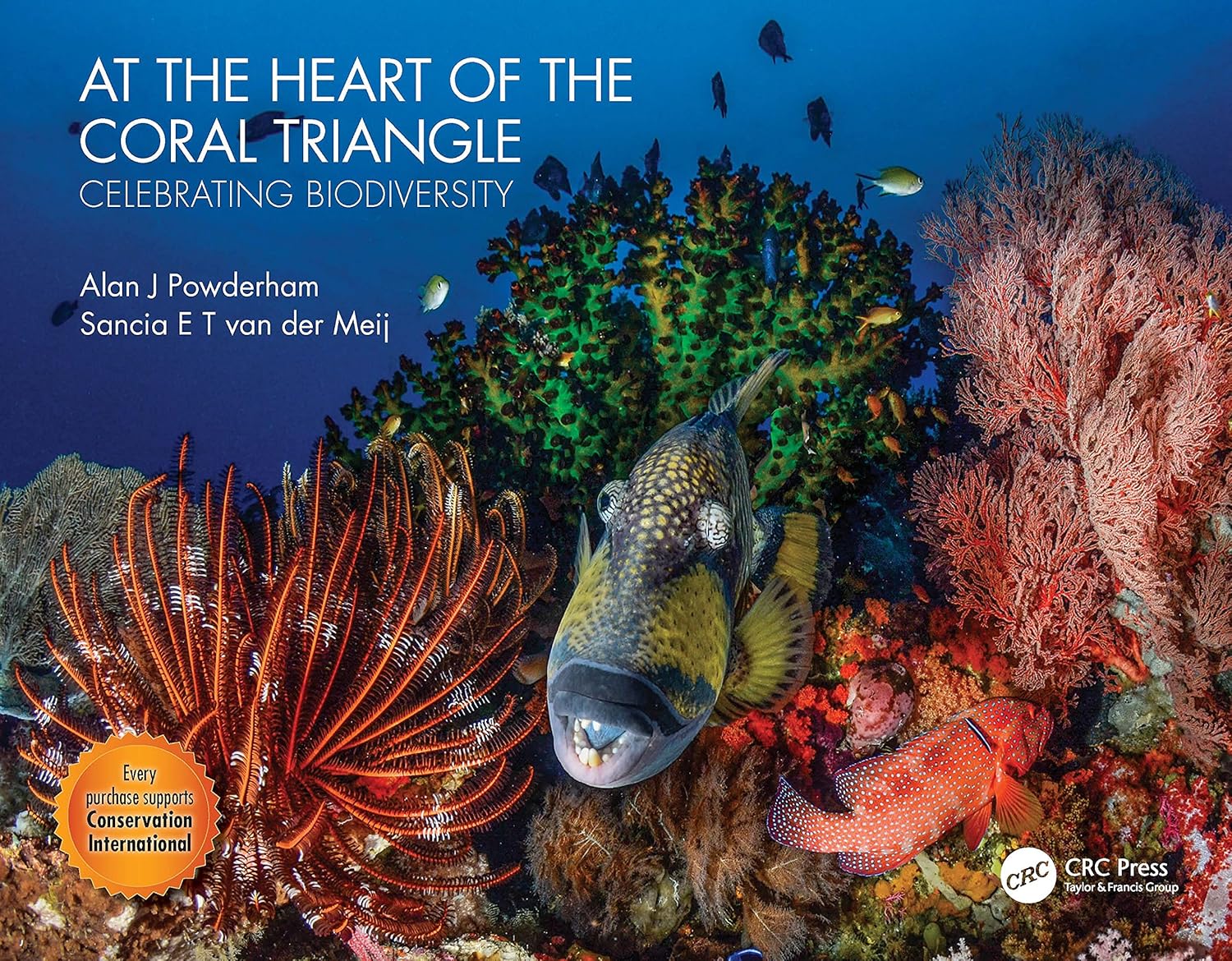 At the Heart of the Coral Triangle: Celebrating Biodiversity - Image 1