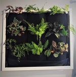 Delectable Garden waterproof indoor living wall planter with ferns
