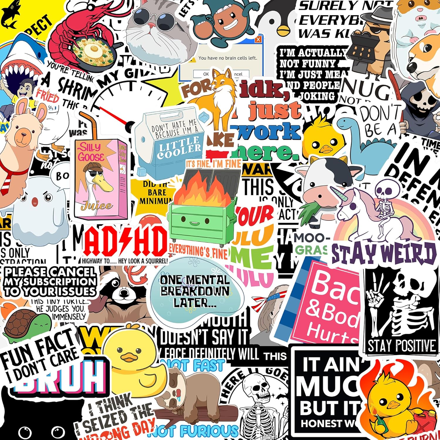 Debinolo 130 Pcs Funny Saying Stickers pack front view