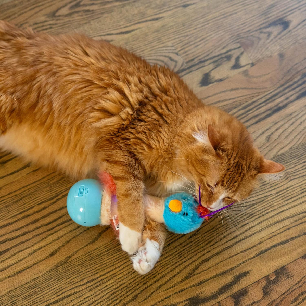 Catstages battery powered cat toy showing plush texture