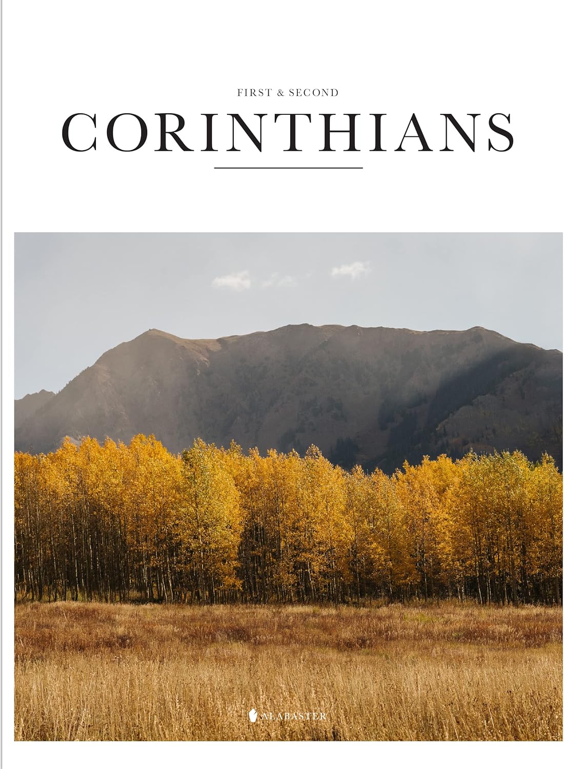 Book of 1 & 2 Corinthians (SC,NLT) - Image 1