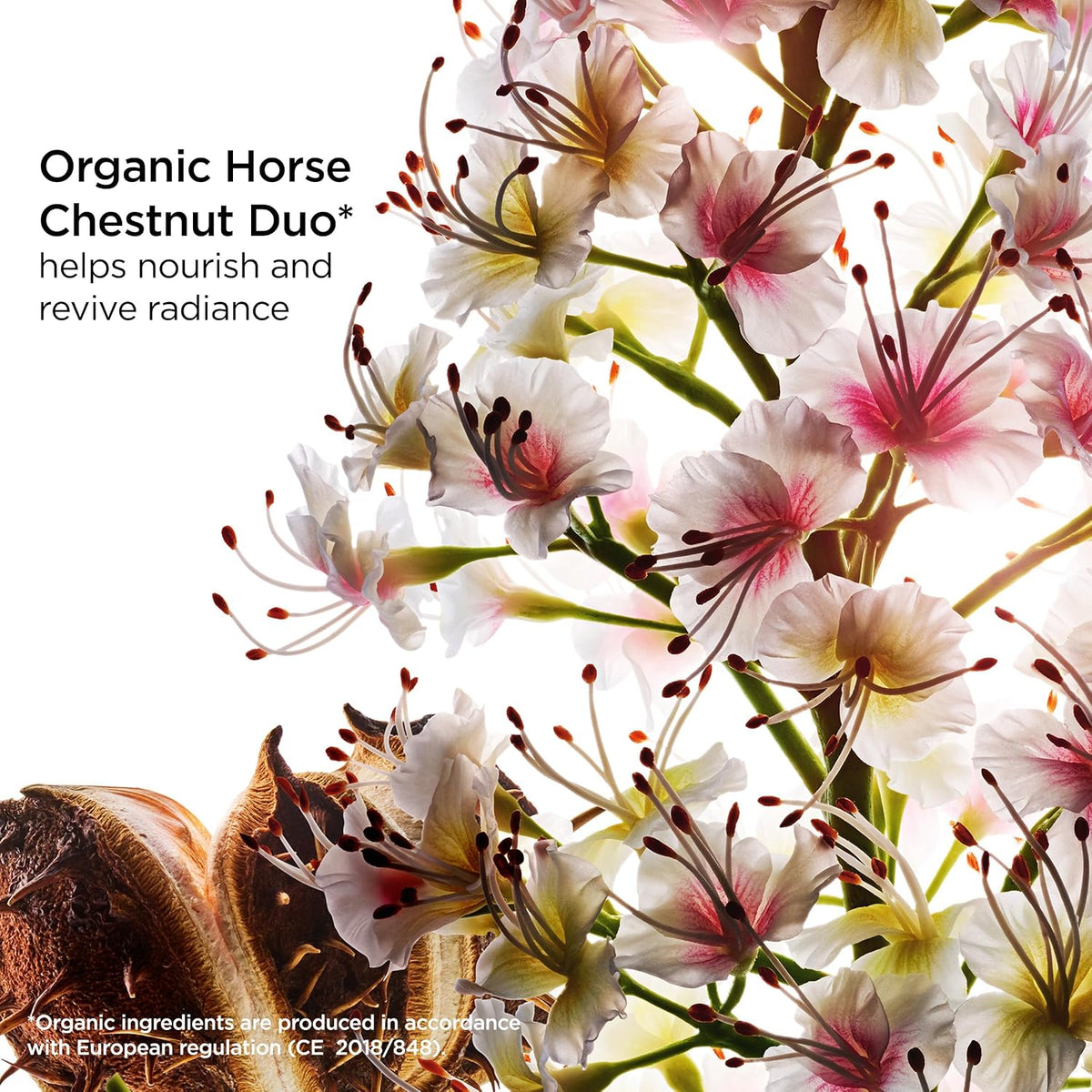 Clarins Nutri-Lumiere Day Cream texture and melting formula showcase