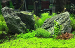 Seachem Flourish Potassium concentration details