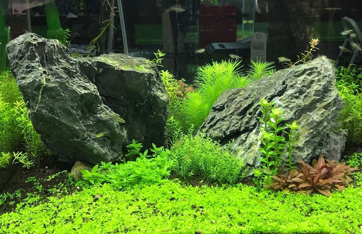 Seachem Flourish Potassium concentration details