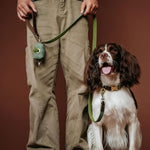 Close up of soft padded nylon handle on green faux leather pet leash