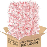 Authentic USA imported bulk festive candy for party favors