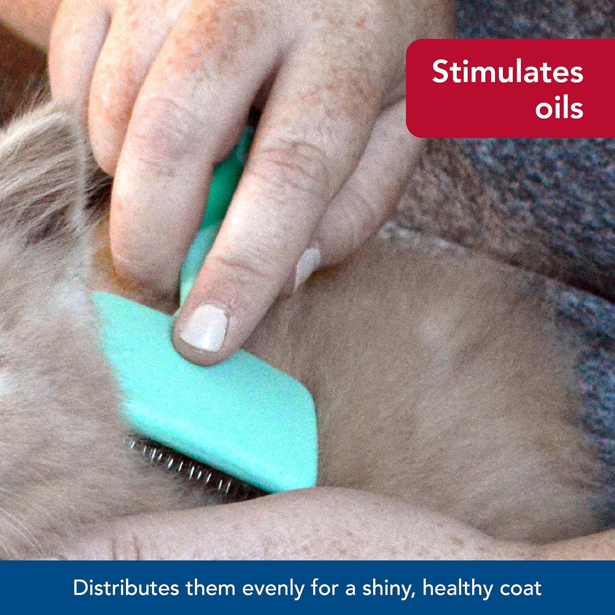 Ergonomic green plastic handle design of the Coastal Pet petite cat grooming tool