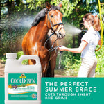 Absorbine CoolDown herbal rinse applied to a horse coat after training.