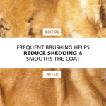 Wahl dual coat cat and dog brush showing the angled lower pin layout.