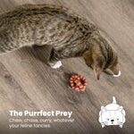 Cat batting interactive dental toy on floor