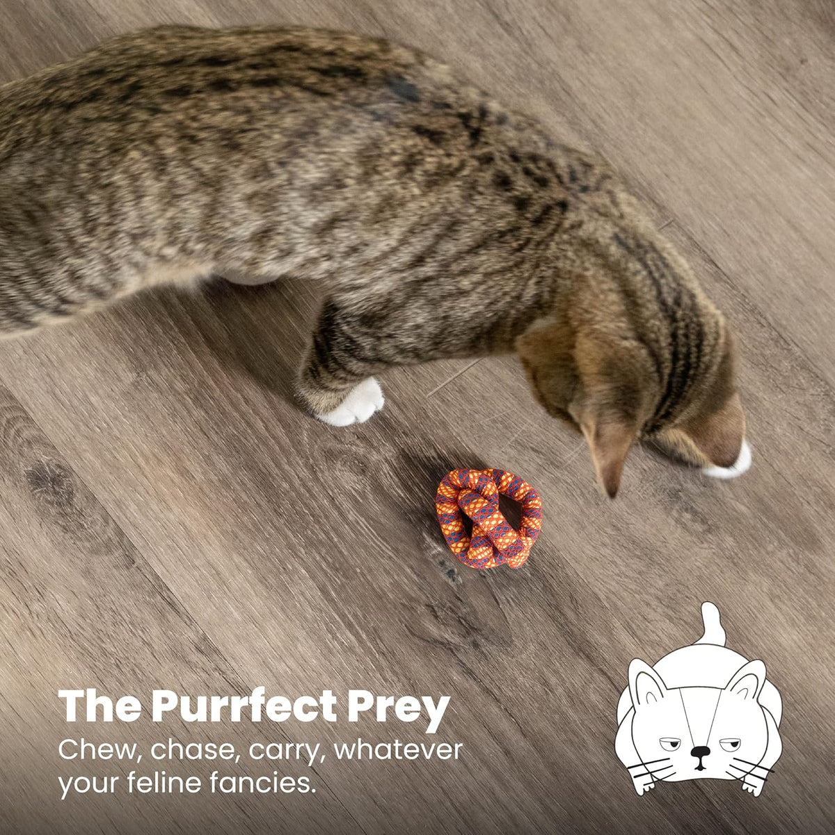 Cat batting interactive dental toy on floor