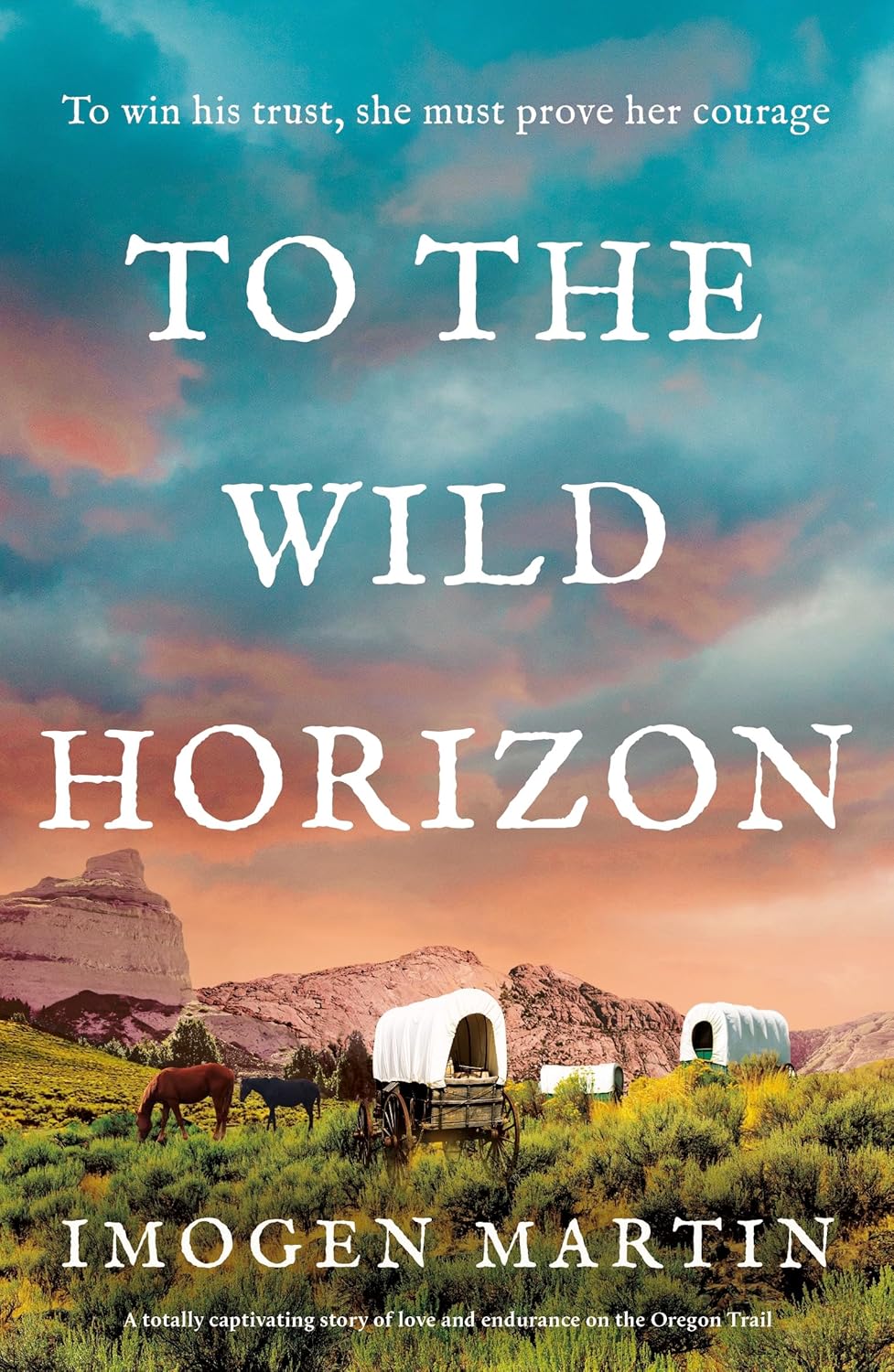 Imogen Martin To The Wild Horizon book cover front view historical fiction