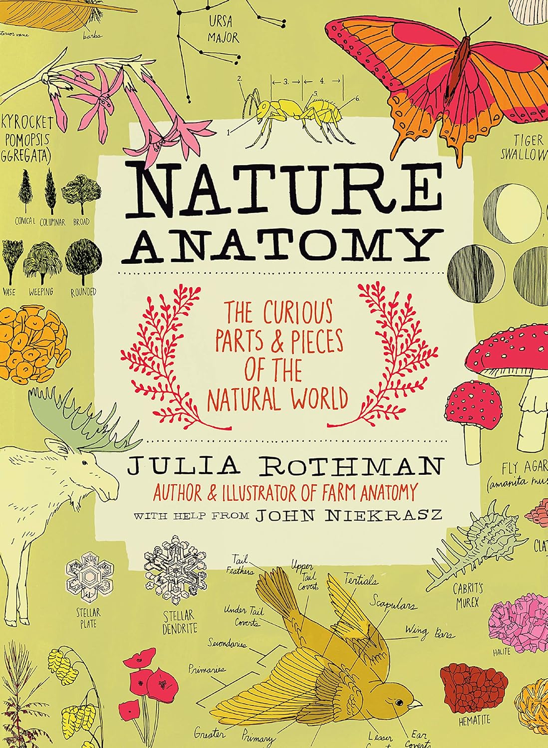 Julia Rothman Nature Anatomy paperback book front cover view