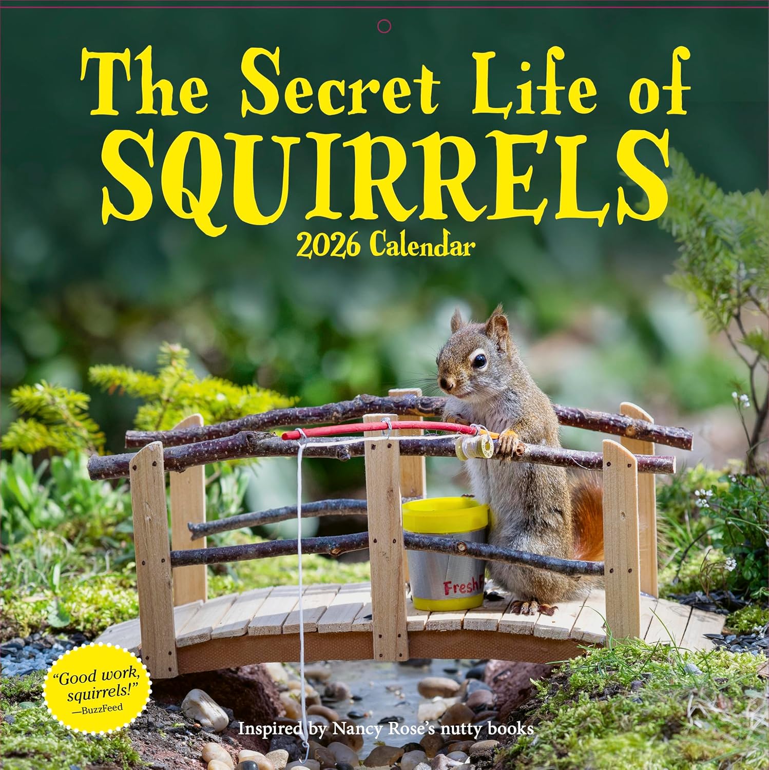 Secret Life of Squirrels Wall Calendar 2026: A Delightfully Nutty Year - Image 1