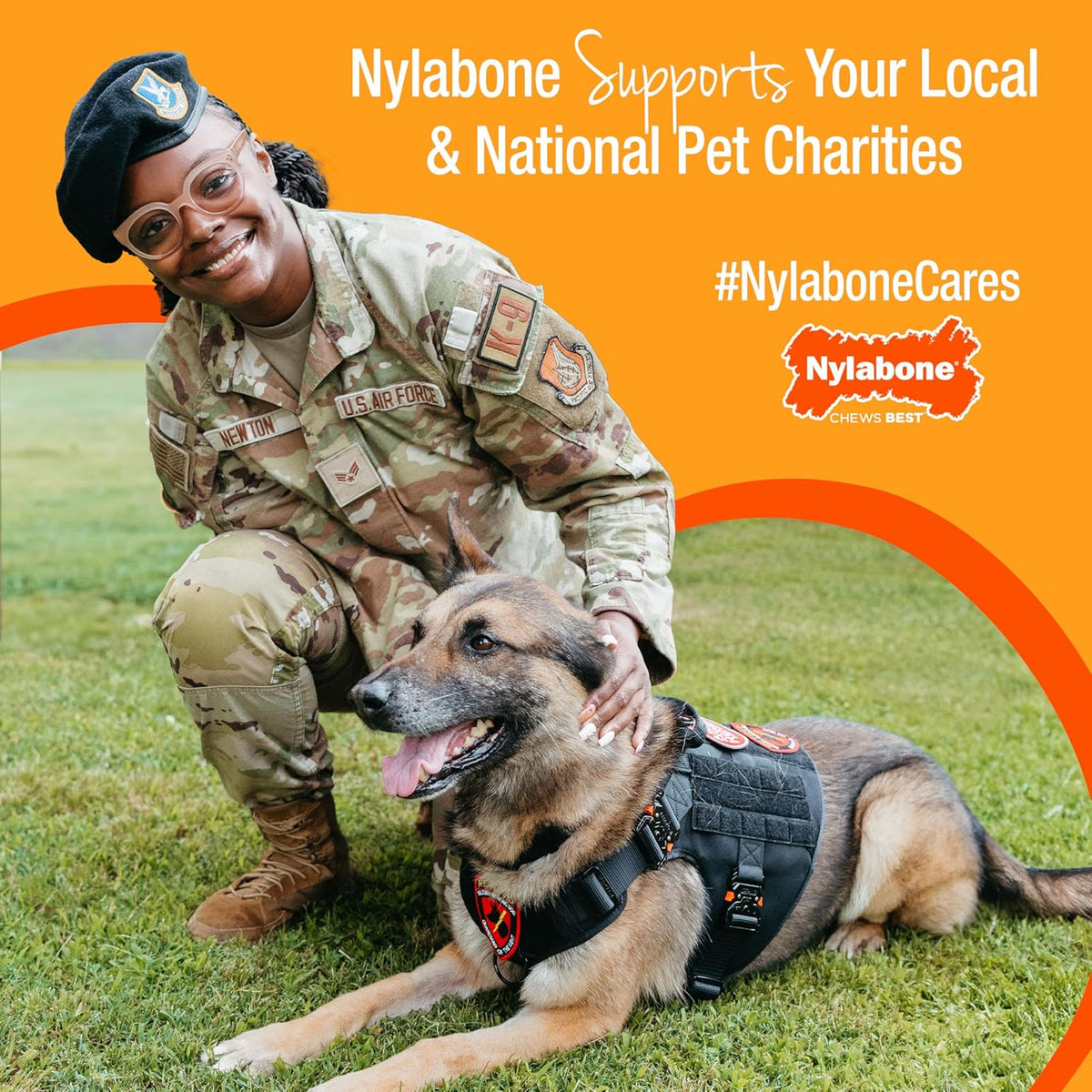 Nylabone Healthy Edibles Broth Bone Natural Dog Chews Long Lasting Treats Ham Flavor Small/Regular - Up to 25 Ibs. (16 Count) - Image 10