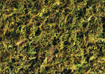 Exo Terra natural compressed moss substrate for reptiles and amphibians