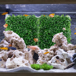 Close up of 10x10 inch hermit crab habitat climbing accessory