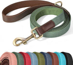 Didog PU leather dog leash front view green training lead for small dogs