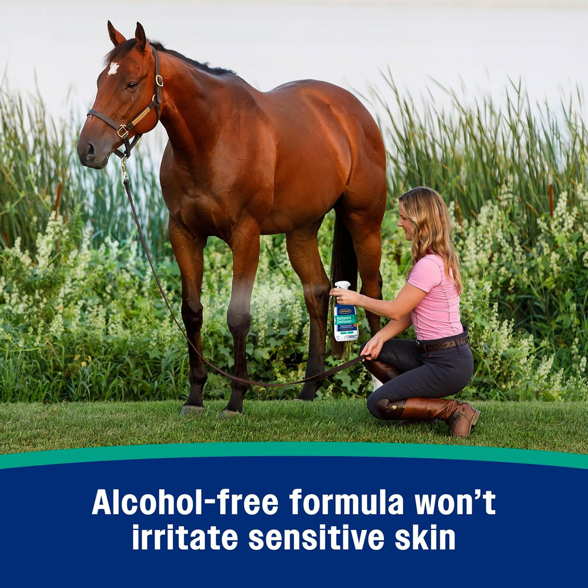 Natural essential oil horse fly spray for ponies and foals