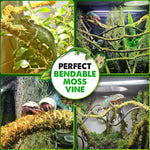 Bendable reptile jungle branch showing versatility in a terrarium setup