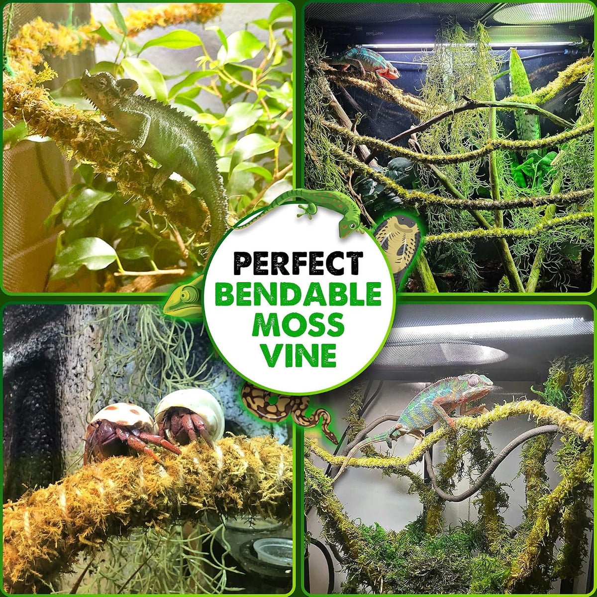 Bendable reptile jungle branch showing versatility in a terrarium setup