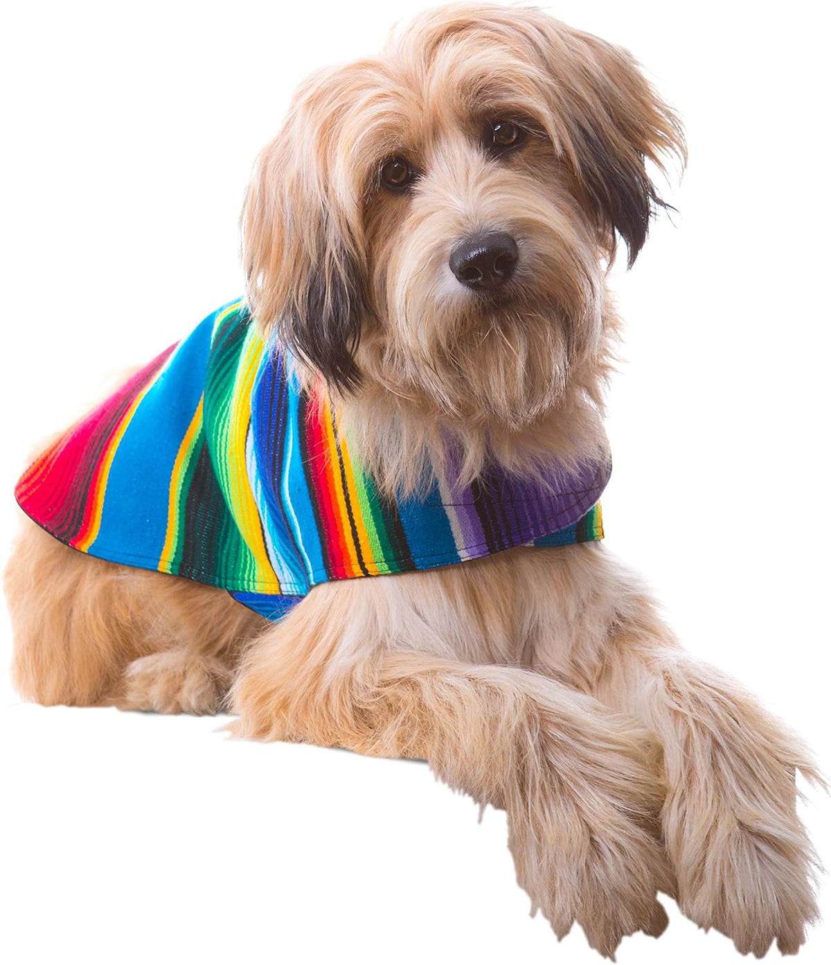 Close up of soft polyester lining on dog poncho