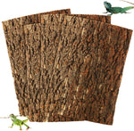STARVAST cork terrarium background front view showing natural bark texture