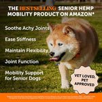 Glucosamine and chondroitin soft chews for dog joint stiffness relief