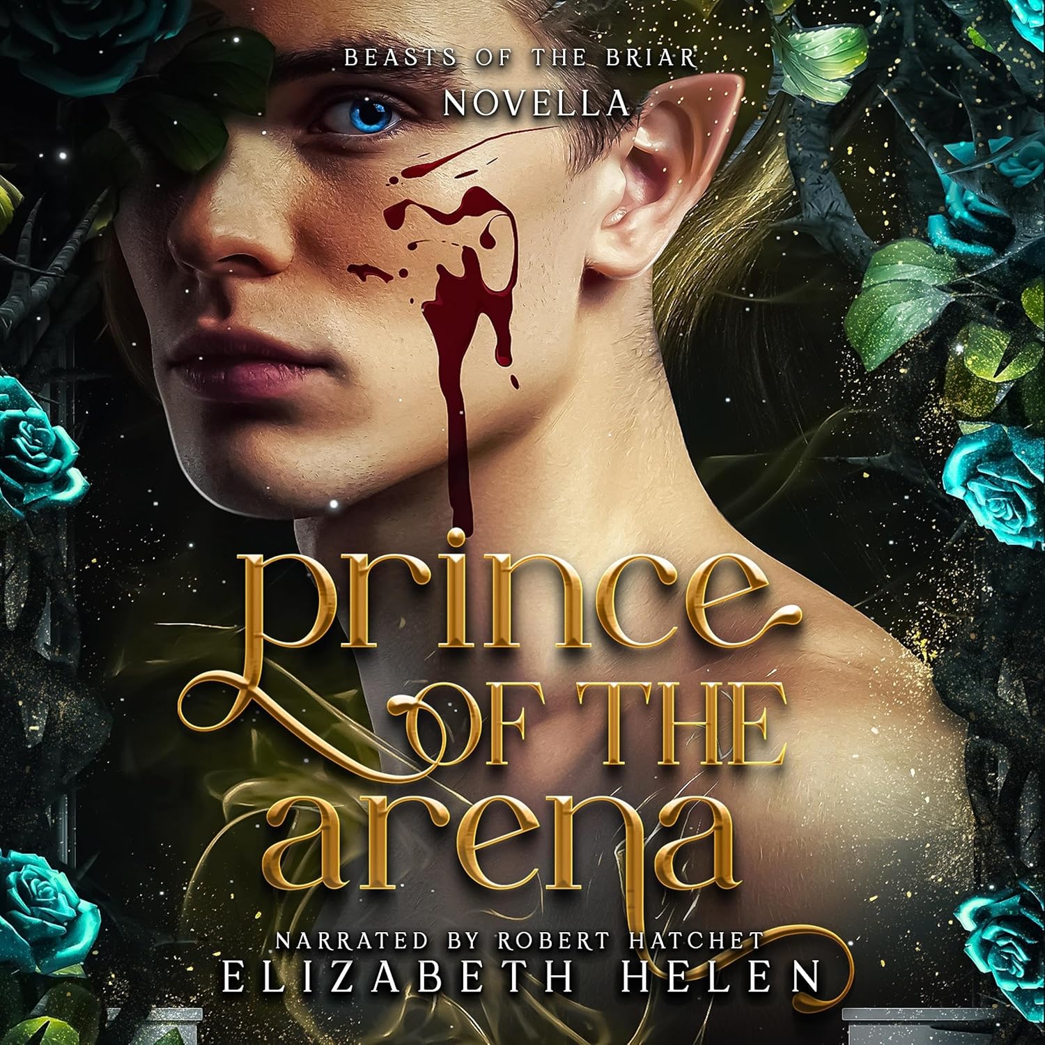 Elizabeth Helen Prince of the Arena book front cover view fantasy romance