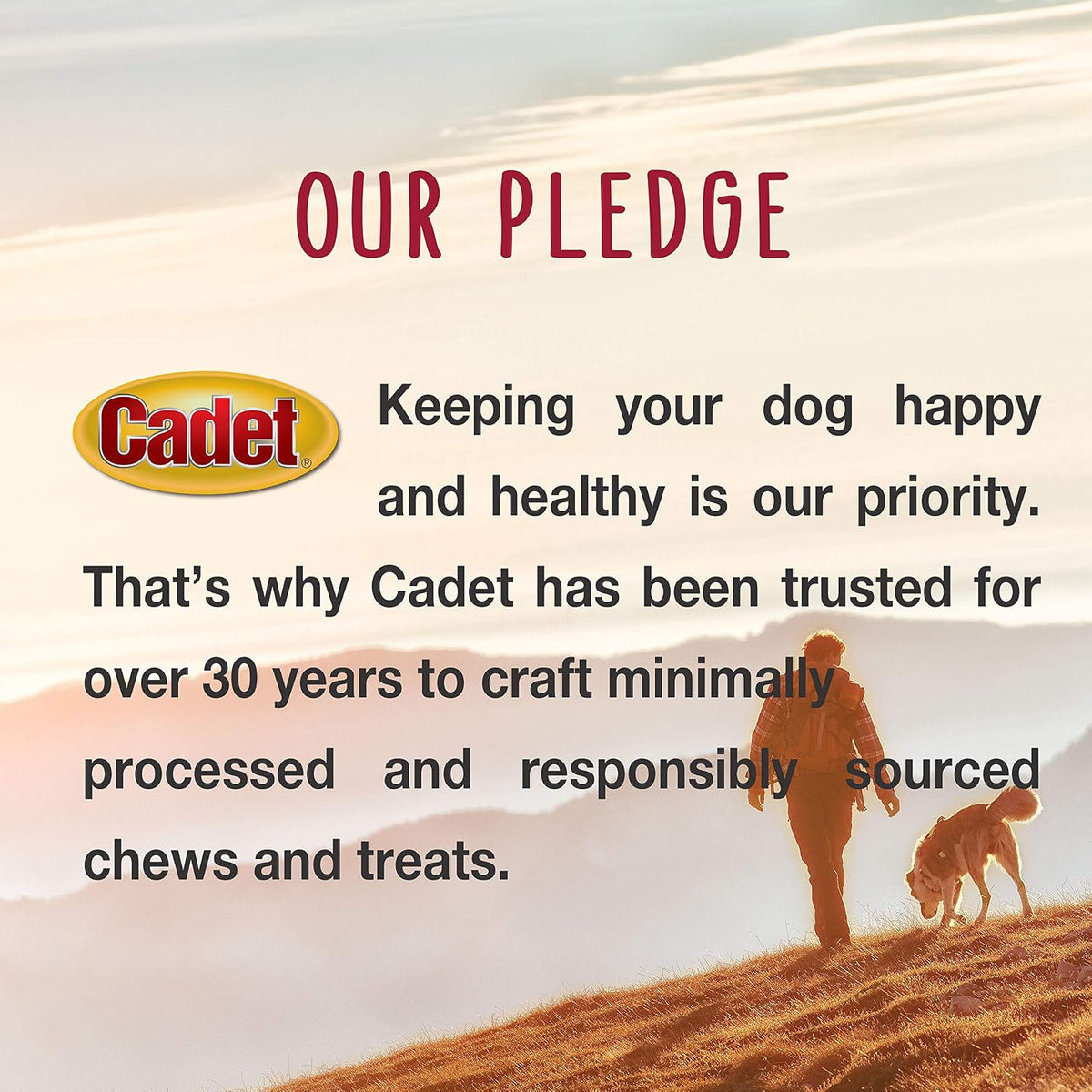 Single ingredient natural rawhide rolls for aggressive chewers