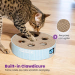 Top view of Catstages Scratch N' Hunt cat toy
