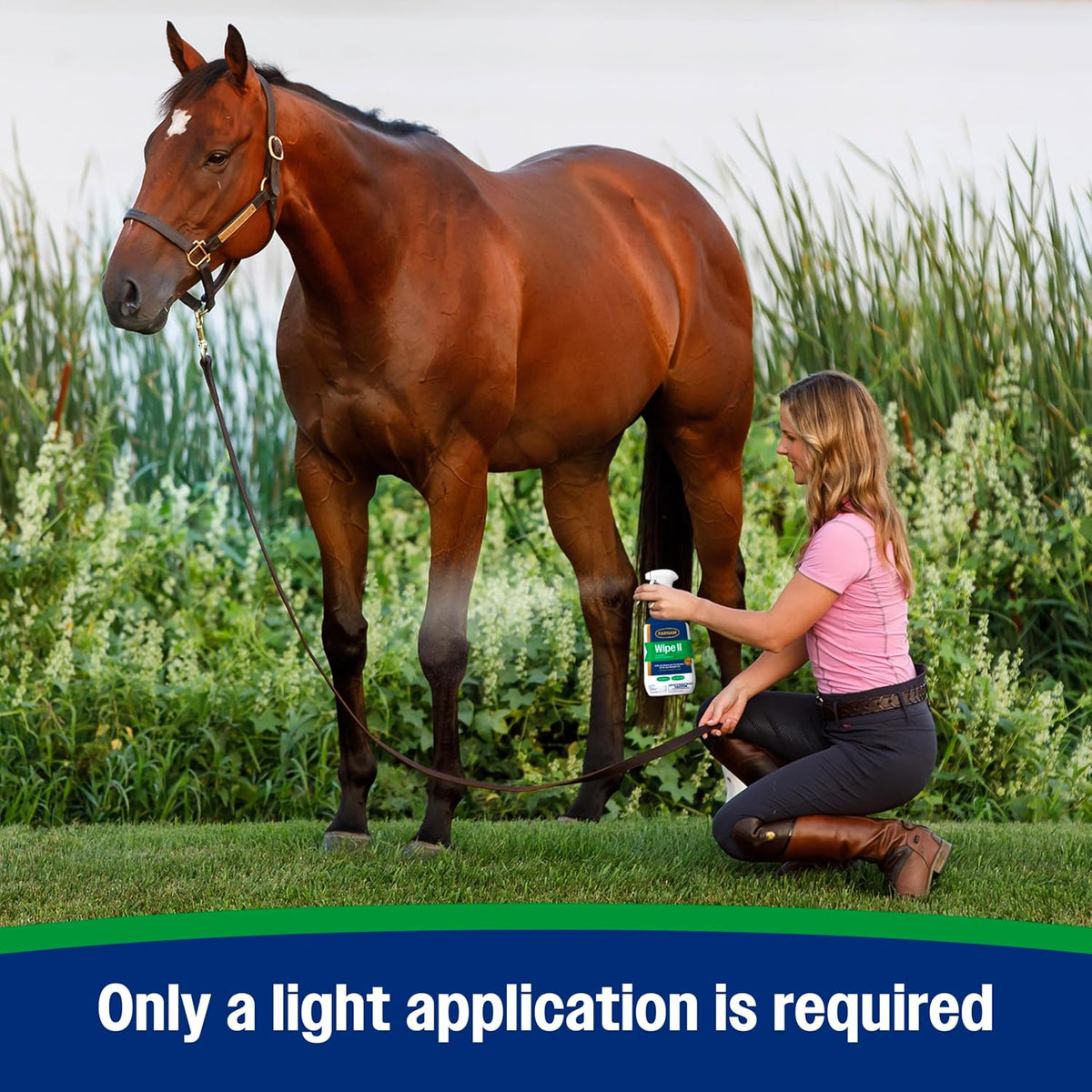 Botanically derived pyrethrin fly protectant for show ring horse shine