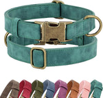 Didog dog collar packaging and product display