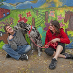 Mendota Pet large breed heavy duty training lead held by owner